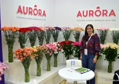 Aurora, a Floraverda and Rainforest certified grower in business for 35 years already. Interesting enough, the flowers (carnation, spray-carnation, and roses) are produced on an acreage of 35 hectares. On the photo Roxana Londono.